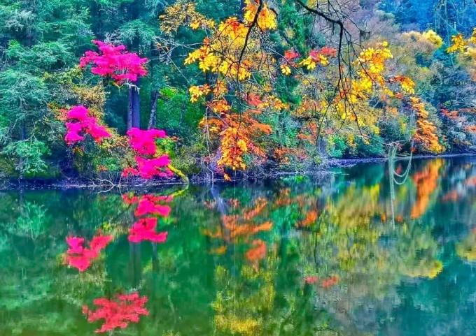 春雨直播app