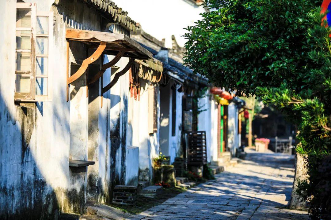 逃离复古经典房屋