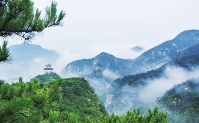 时隔81天,《日常见肖战》再度来袭,粉丝:取经呢