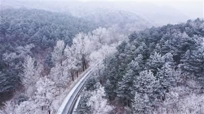 险资增持部分上市公司 高股息资产受关注